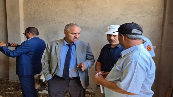 اللجنة الإقليمية المختلطة لمراقبة الأسعار والجودة تواصل معاينة أضاحي العيد بالسمارة..