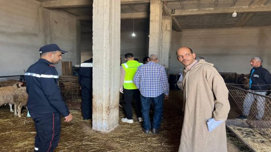 اللجنة الإقليمية لمراقبة الأسعار والجودة تكثف مراقبة أسواق الأضاحي بالسمارة…
