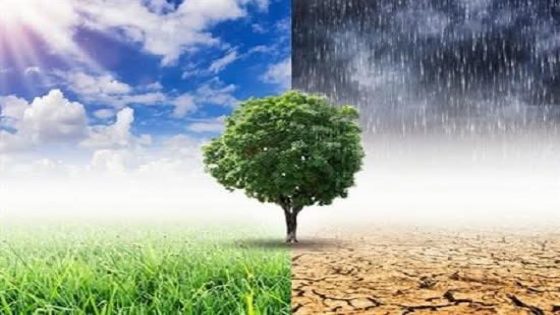تقلبات جوية مرتقبة بالمغرب بين زخات رعدية وارتفاع في درجات الحرارة..