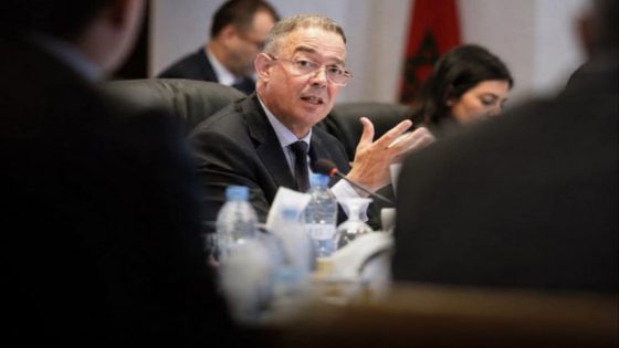 هل يركب فوزي لقجع “الجرار”؟.. تفاصيل “المشاورات المتقدمة” لحسم التحاقه بالأصالة والمعاصرة…