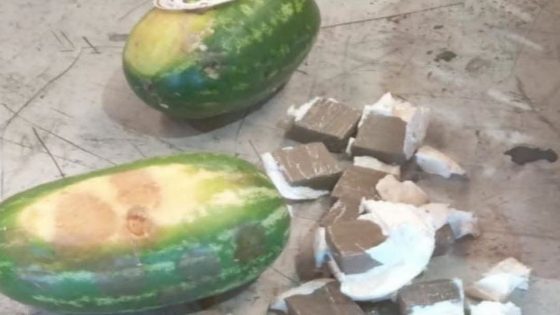 دلاح من نوع أخر .. توقيف شاحنة محملة ب 350 كيلوغراما من الشيرا بمناء طنجة المتوسط …