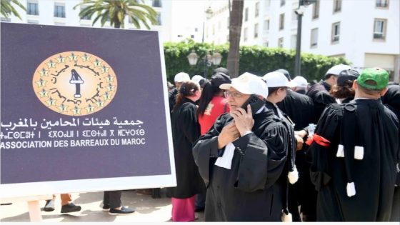المحامون يحمّلون رئاسة مجلس النواب مسؤولية “الإخلال بالإحالة الدستورية”…