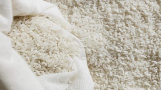 فيدرالية الأرز: استمرار تدفق الواردات المصرية يؤذي المزارعين المغاربة