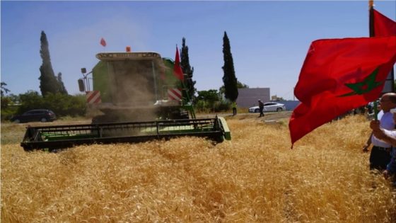 النفط والأسواق الخارجية والفلاحة يرسمون ملامح النمو الاقتصادي بالمملكة…