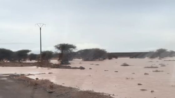 أمطار الخير تعم الأقاليم الصحراوية.. بشائر موسم واعد تنعش آمال الساكنة والفلاحين والكسابة