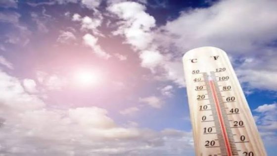 الأرصاد الجوية.. حرارة تصل إلى 38 درجة بالعيون و35 بالسمارة مع رياح وتطاير الغبار بالأقاليم الصحراوية